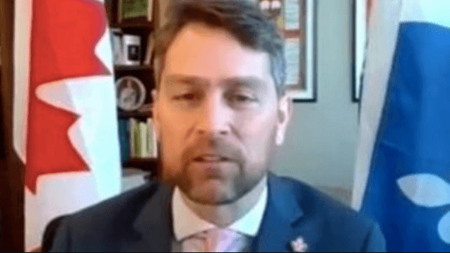 Canadian MP apologises after walking in naked on Zoom call