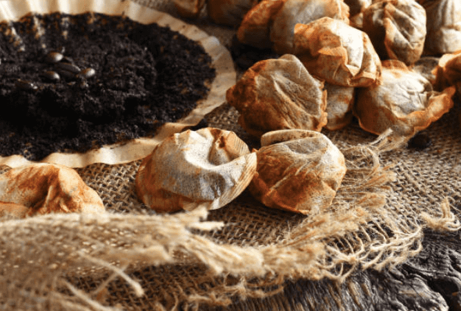 Most Irish teabags contain plastic and aren’t biodegradable, says research Most Irish teabags contain plastic and aren’t biodegradable, says research