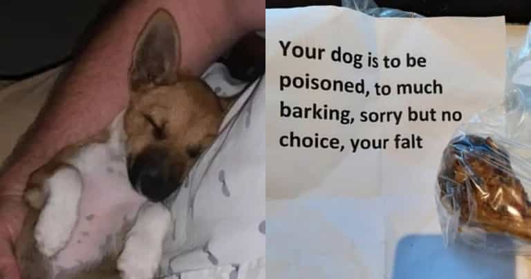 Woman finds poisoned bone with note left for dog “who barked too much” Woman finds poisoned bone with note left for dog “who barked too much”