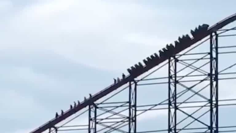 Blackpool rollercoaster ‘breaks down near top forcing passengers to walk down’ Blackpool rollercoaster ‘breaks down near top forcing passengers to walk down’