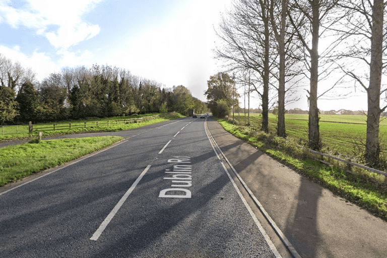 Irish man dies after car hit by falling tree