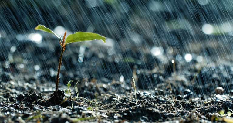 Status Yellow warning issued as heavy rainfall expected Status Yellow warning issued as heavy rainfall expected