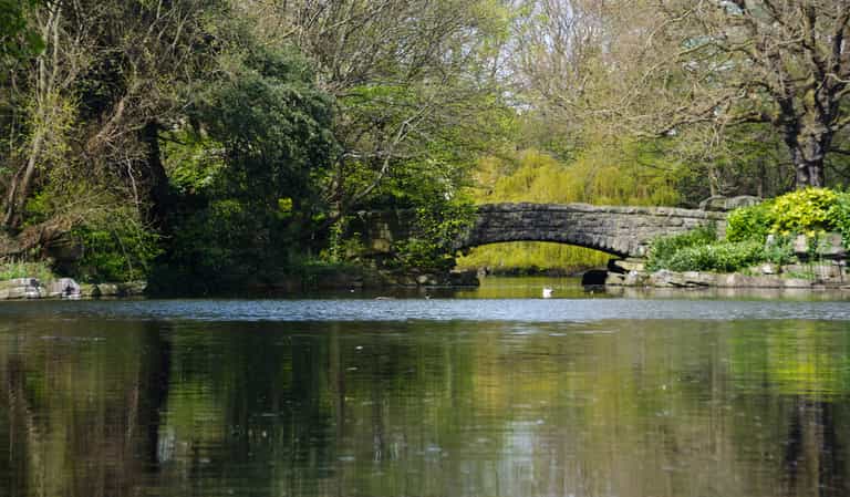 Man arrested in connection with assault of woman in St Stephen’s Green Man arrested in connection with assault of woman in St Stephen’s Green