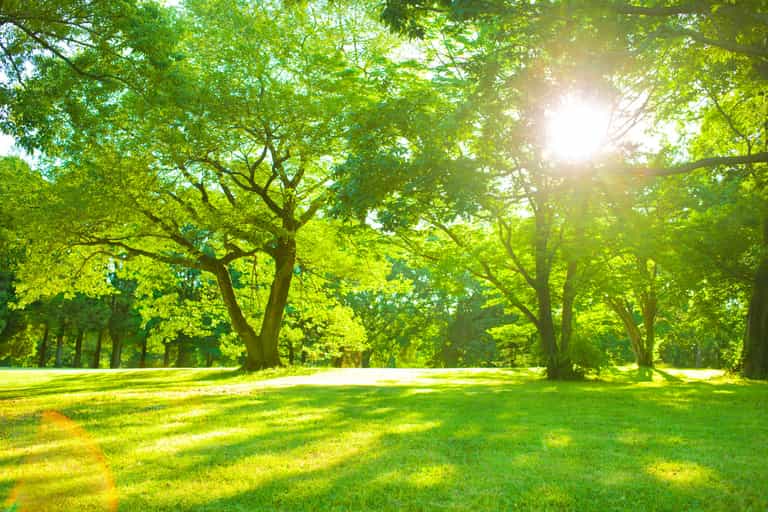 Ireland set for sunny weather spells as temperatures expected to climb next week Ireland set for sunny weather spells as temperatures expected to climb next week