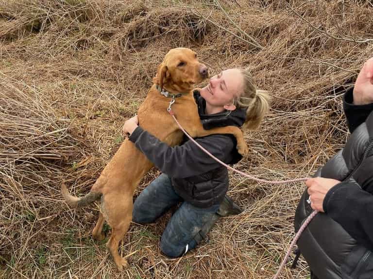 Missing pup rescued from bottom of mineshaft after 4 days