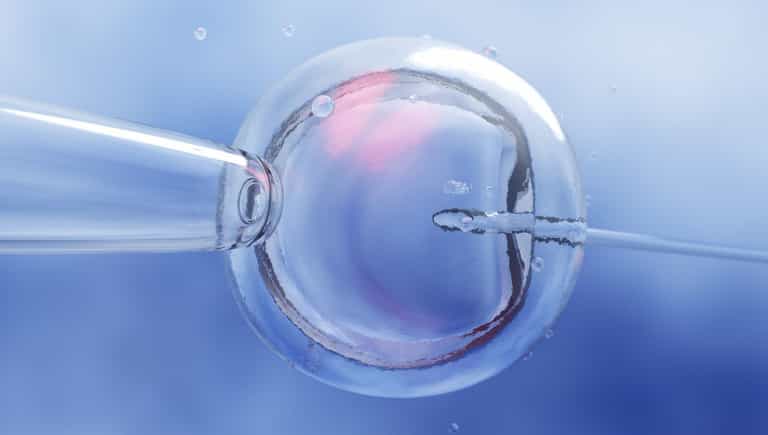 Woman sues IVF clinic after they allegedly implanted stranger’s baby