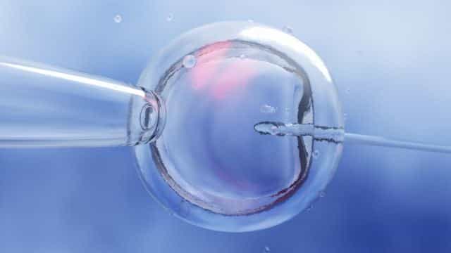 State funding for IVF to begin next year, Donnelly says