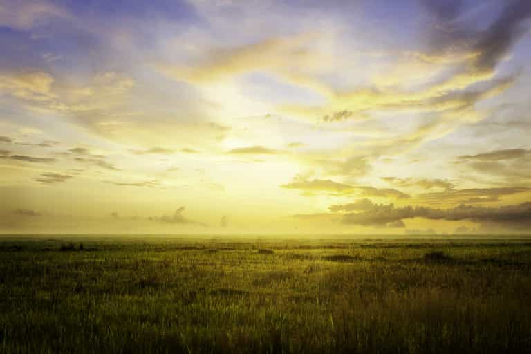 19 degrees forecast for this weekend, Met Éireann says