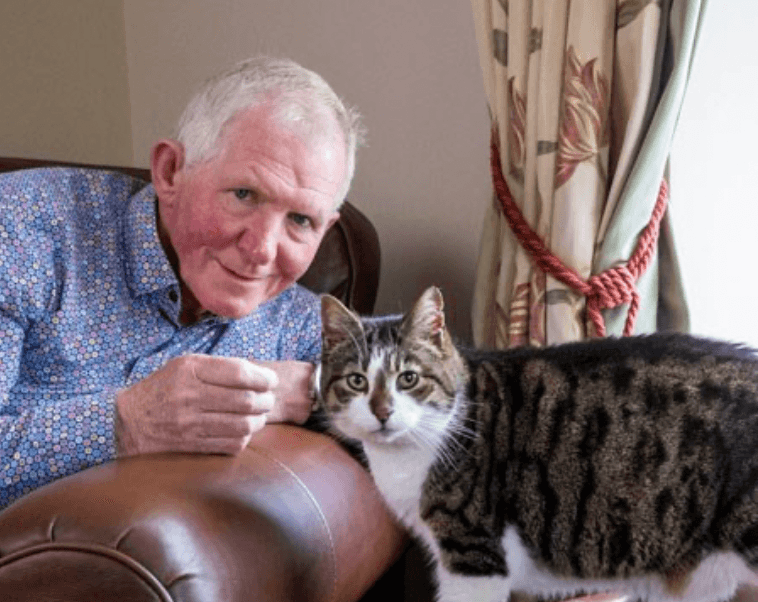 Irish cat up for award after saving six people from a fire