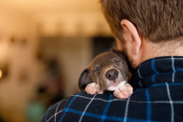 Dogs Trust appeal for support after taking in 54 puppies in 3 weeks