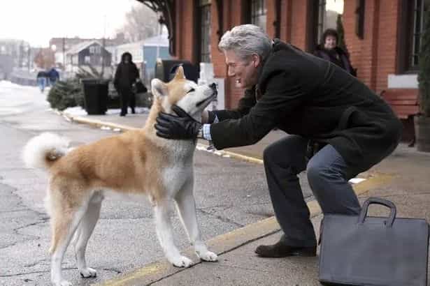 Netflix fans left on the verge of ‘throwing up’ and issue warning about ‘upsetting’ dog movie Netflix fans left on the verge of ‘throwing up’ and issue warning about ‘upsetting’ dog movie