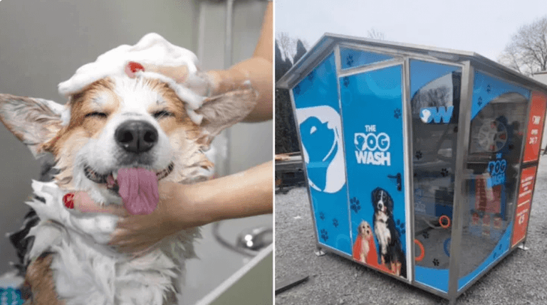One-of-a-kind self-serve dog wash is launching in Dublin One-of-a-kind self-serve dog wash is launching in Dublin