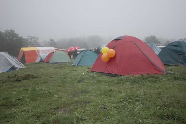 Forever Young forced to postpone festival for day and weekend visitors