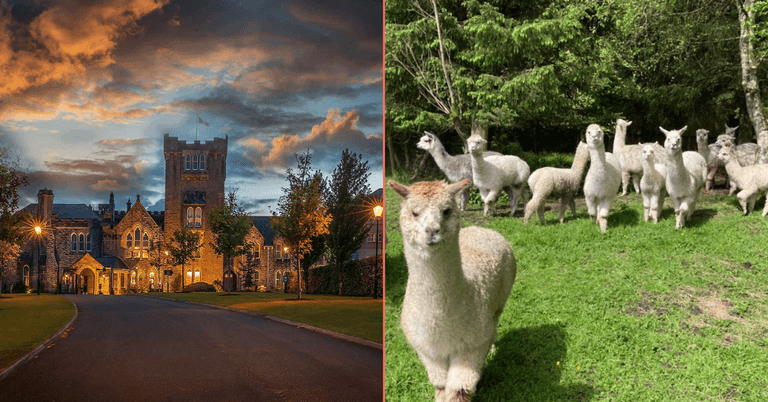 The Hidden Heartlands: Why the underrated Roscommon should be on your ‘staycay’ list The Hidden Heartlands: Why the underrated Roscommon should be on your ‘staycay’ list