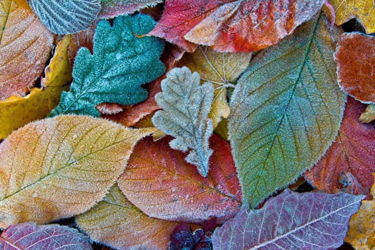 Jack Frost is on his way as Met Éireann forecast a drop in temperature this week
