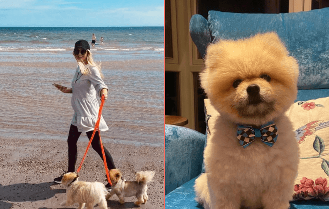Rosanna Davison pays moving tribute after death of her dog