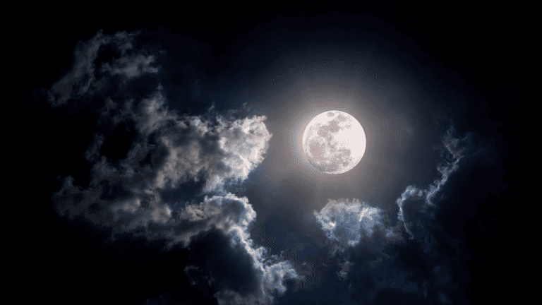 What does the first full moon of 2024 mean for your zodiac sign? What does the first full moon of 2024 mean for your zodiac sign?