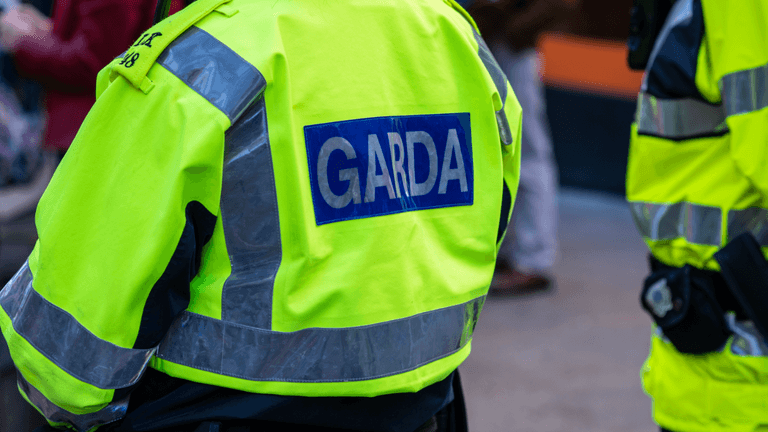 Passengers evacuated after bus catches fire on motorway in Dublin