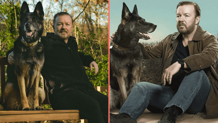 Ricky Gervais announces death of Brandy the Dog from After Life aged 13