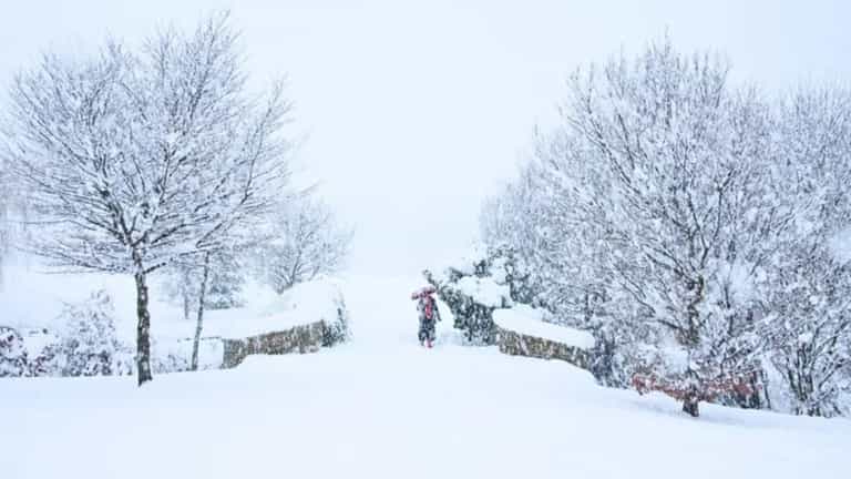 Several Irish counties hit with weather warning over snowstorm