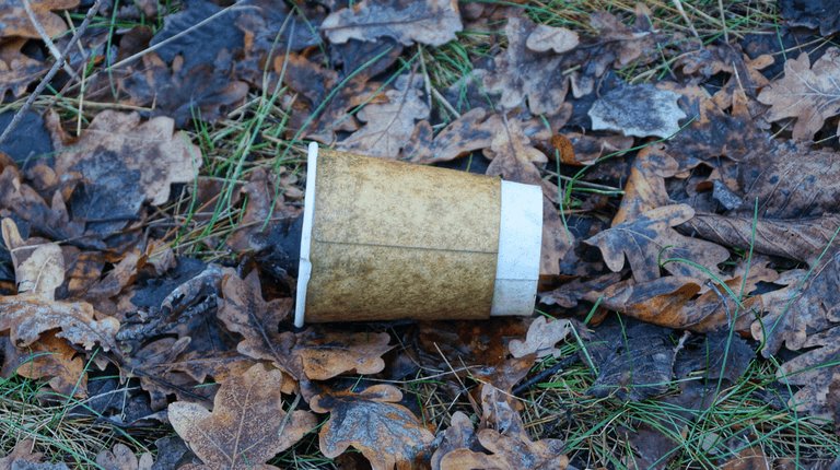 Ireland’s tidiest and most littered towns have been revealed