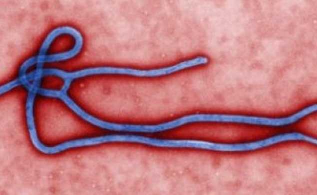 HSE Confirms  “No Confirmed, Or Suspected, Cases Of Ebola” In Ireland