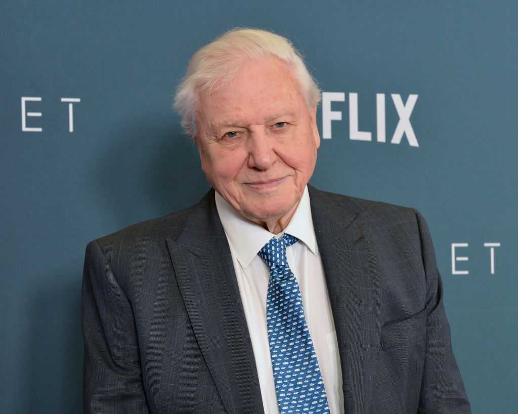 Sir David Attenborough set to return to present third season of Planet Earth