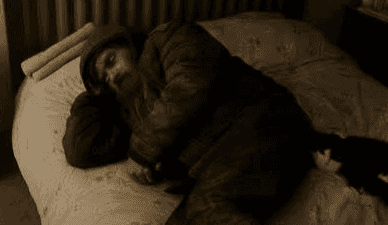 Garda urge public to stop pranking people with AI home intruder pictures