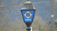 Garda Appeal Louth Crash