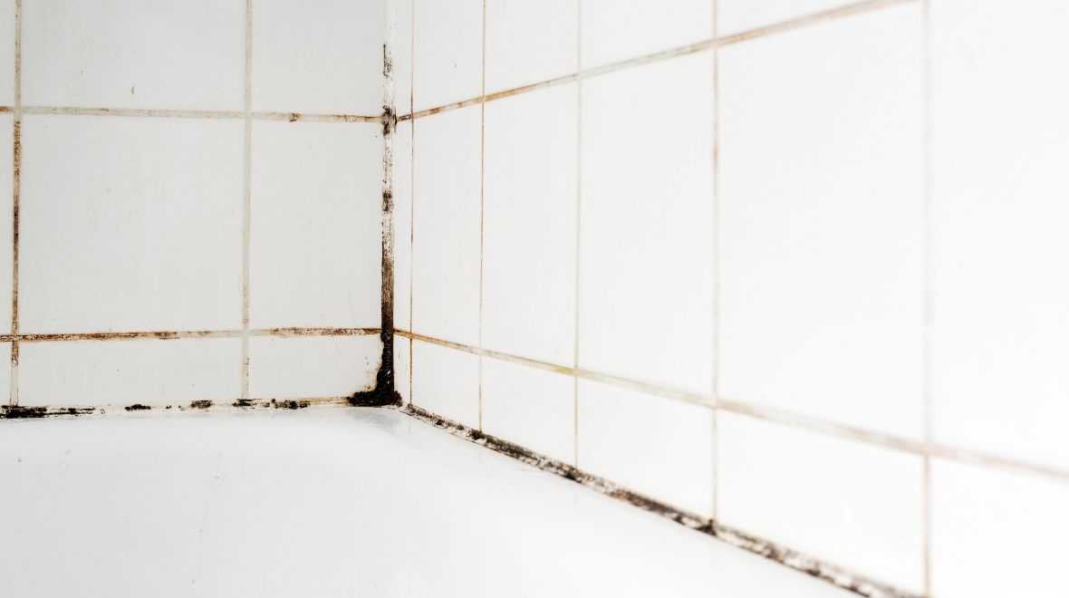 &#8216;Easy to use&#8217; gadget clears stubborn mould from bathrooms &#8211; and it&#8217;s just €11