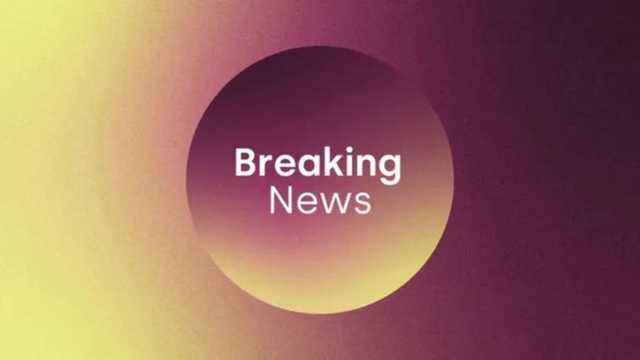 Greta Thunberg has been arrested