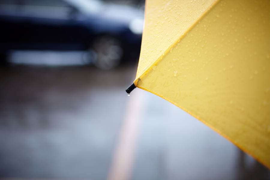 You Will Be Needing Your Umbrella and a Raincoat for the Next Few Days