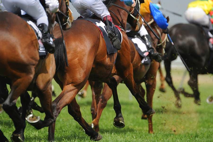 Whips, Shouting and Hitting… And That’s Off the Track