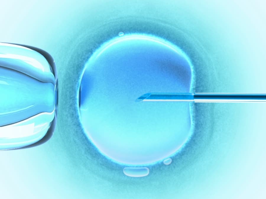 Five Million Babies Have Been Born Through In-Vitro Fertilisation