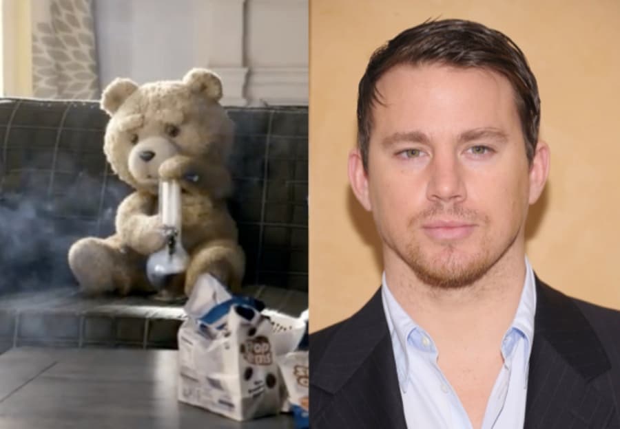 Tatum versus the Teddy Bear – Battle of the Box Office