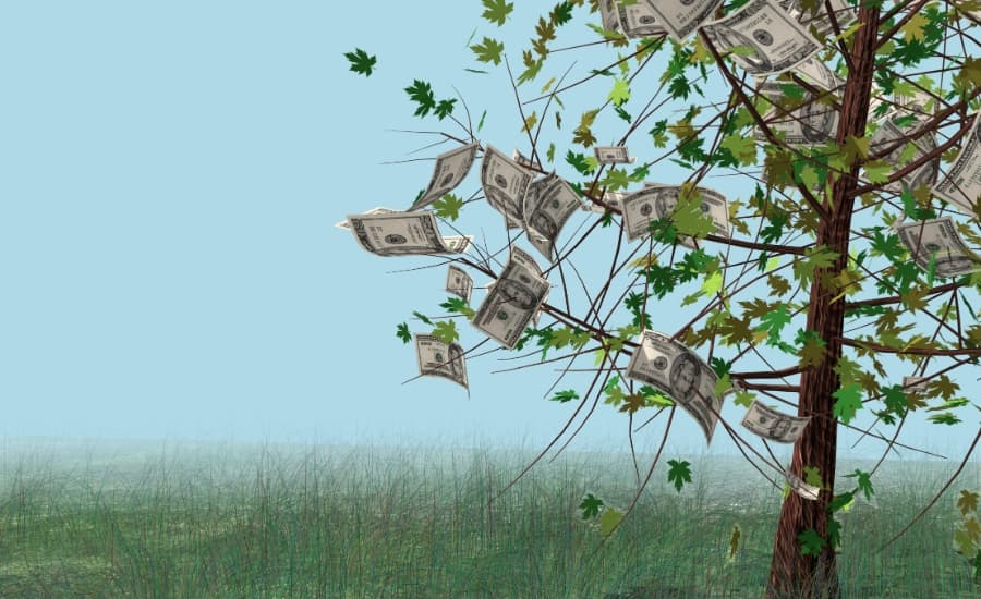 Money Really Does Grow On Trees as Cambodians Flock to a Magic Log