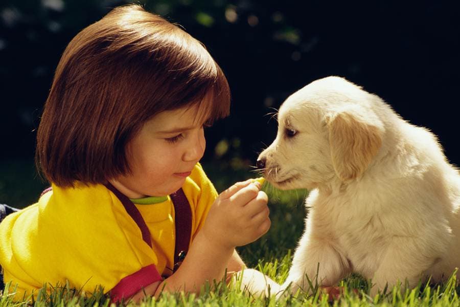 Study Finds Pet Dogs Improve Children’s Health