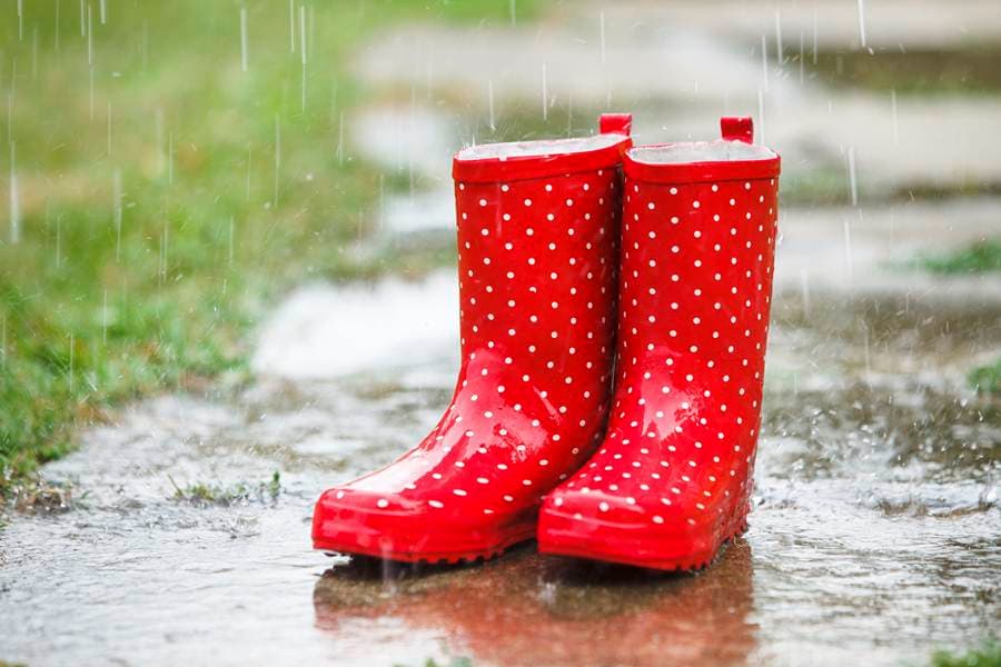 Eh…Where’s Our Sunshine? More Rain Predicted For the Coming Days