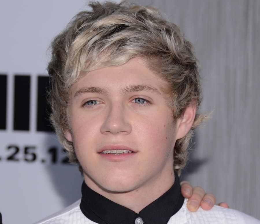 One Direction’s Niall Horan Loses Friend in Tragic Car Accident