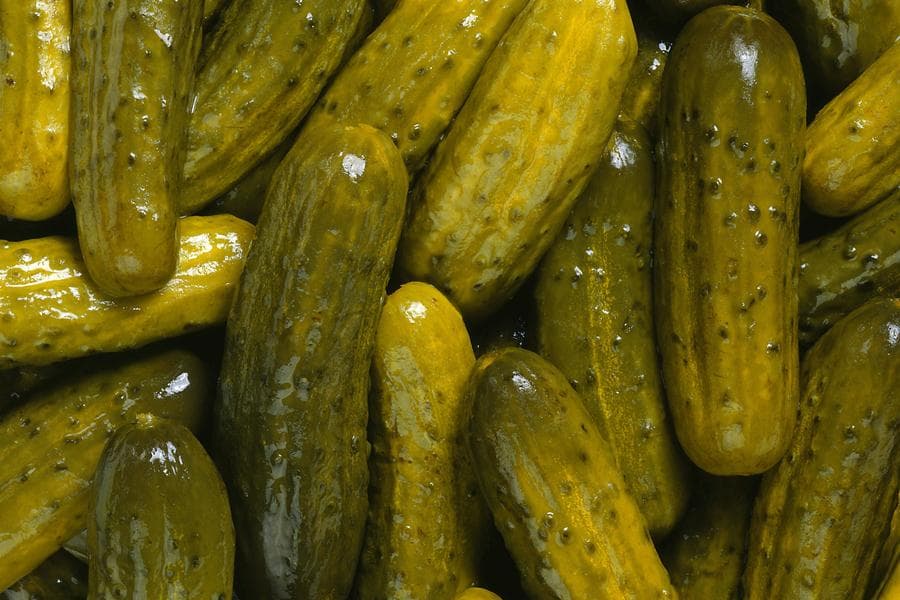 ‘Babe’ and ‘Pickle’ Among Most Hated Pet Names