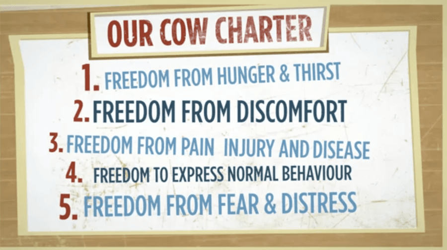 The Cow Charter – Avonmore Release Peak Fresh Campaign