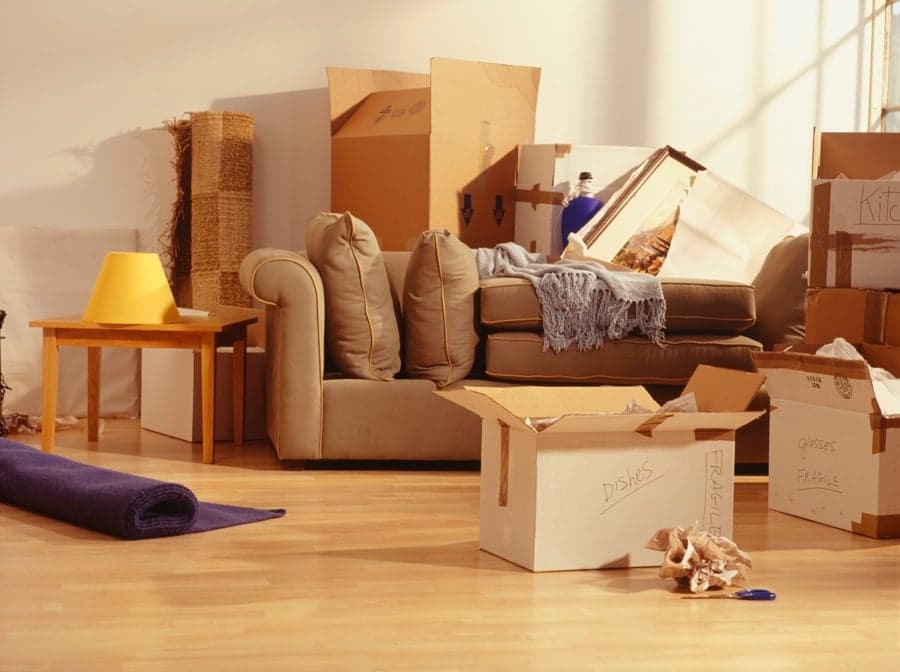 Creature Comforts – Mairead Farrell on Making a House a Home