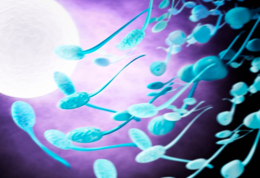 Sex Can Shake Up Female Genes In More Ways Than One