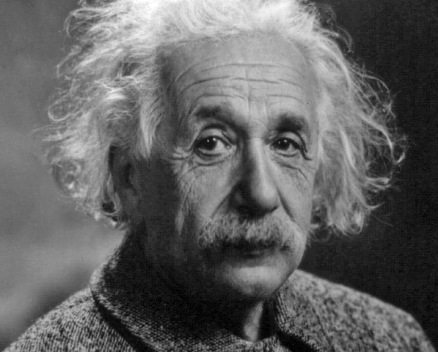 Get Up Close And Personal With Einstein’s Brain In This Cool New App