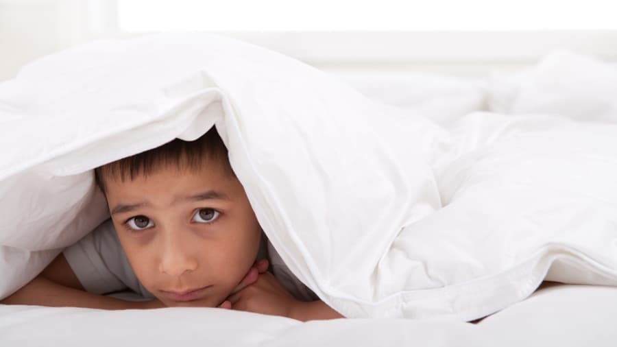Wakey Wakey! How To Get The Kids Up For School