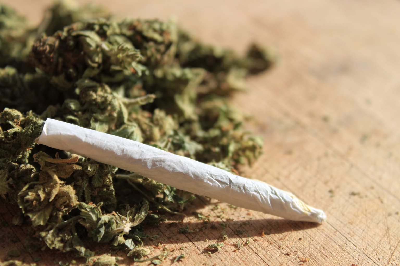 Scientists Believe that Chemicals in Marijuana Can Halt the Rapid Spread Of Aggressive Breast Cancer