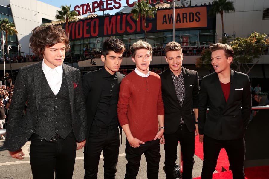 Niall Horan May Be After Demi Lovato but Says He Will Wed an Irish Girl