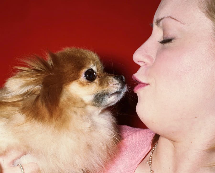 Step Away From The Pooch: A Canine Cuddle Can Expose You To A Lot More Than Just Dog Breath