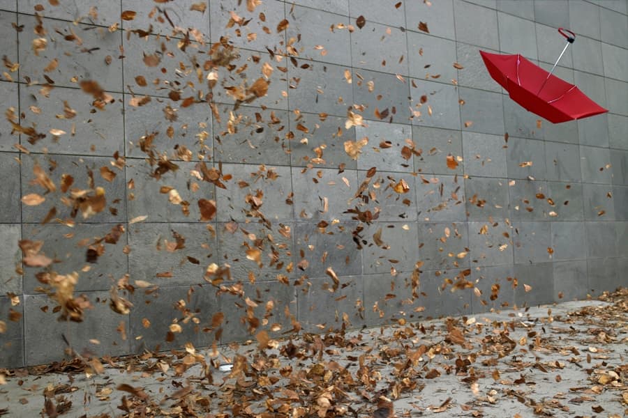 Oh Sandy! Tail-End of the Hurricane is Coming Our Way Say Forecasters