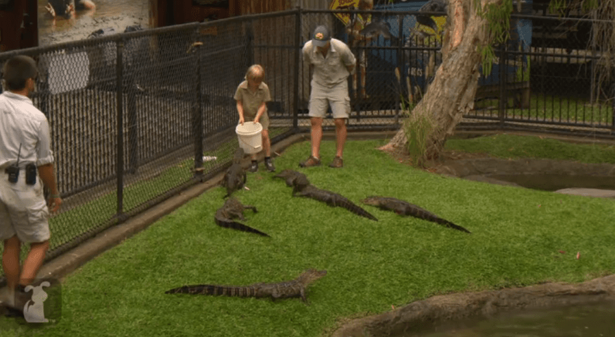 Steve Irwin’s Son Follows In His Crocodile Hunting Footsteps and is Put to Work in His Father’s Zoo
